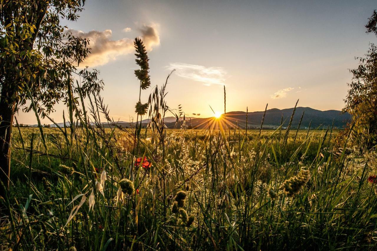 Refugium Countryhouse Podere Cernaia Dış mekan fotoğraf